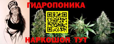 марихуана Аргун