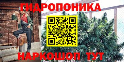 apvp Кохма