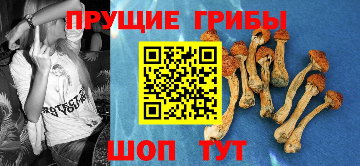 Галлюциногенные грибы Psilocybine cubensis  Вход с VPN  Шадринск 