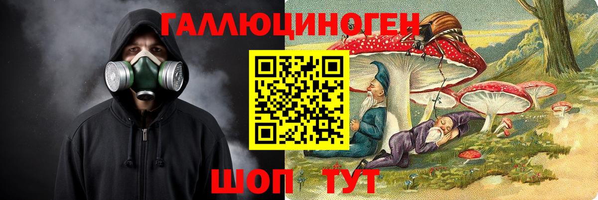 Галлюциногенные грибы Psilocybine cubensis Шадринск